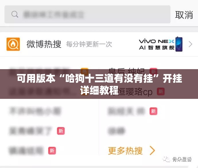 可用版本“哈狗十三道有没有挂”开挂详细教程
