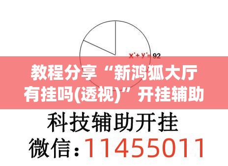 教程分享“新鸿狐大厅有挂吗(透视)”开挂辅助脚本+详细开挂安装教程