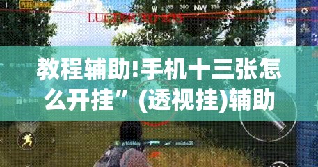 教程辅助!手机十三张怎么开挂”(透视挂)辅助下载教程