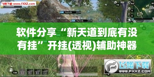 软件分享“新天道到底有没有挂”开挂(透视)辅助神器