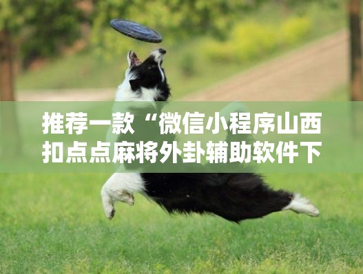 推荐一款“微信小程序山西扣点点麻将外卦辅助软件下载”开挂详细教程