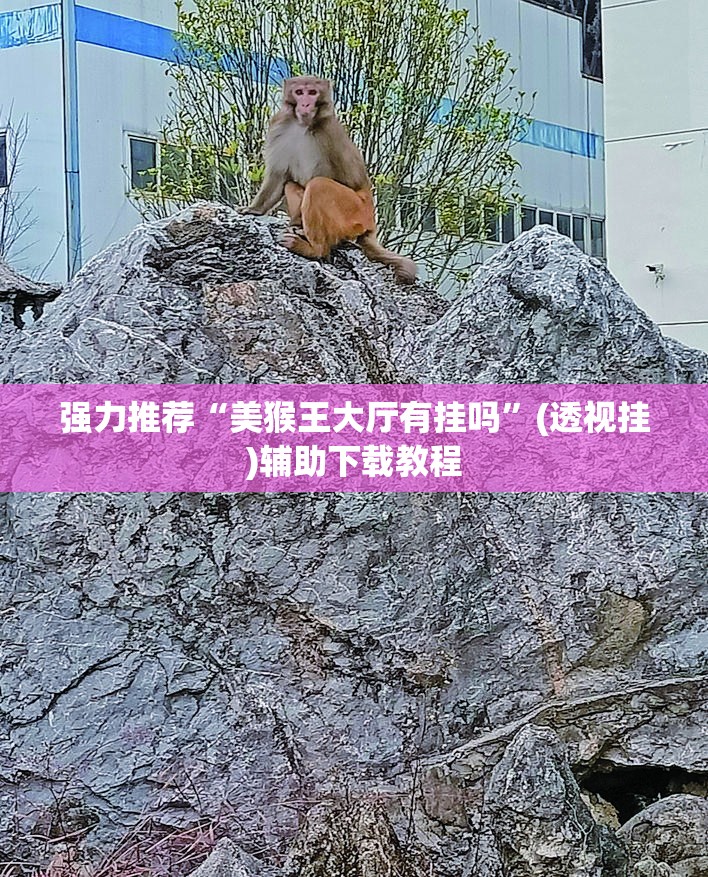 强力推荐“美猴王大厅有挂吗	”(透视挂)辅助下载教程
