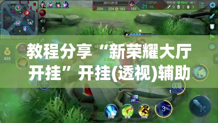 教程分享“新荣耀大厅开挂”开挂(透视)辅助神器