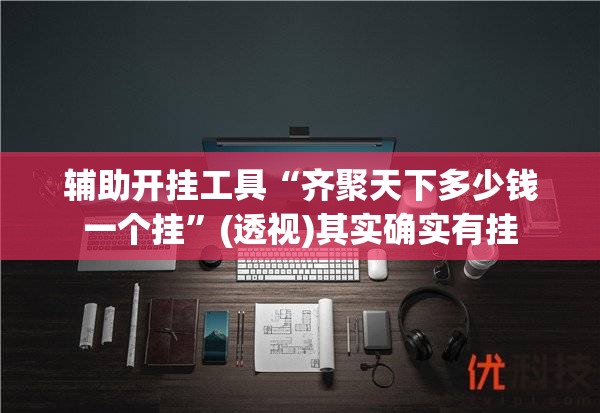 辅助开挂工具“齐聚天下多少钱一个挂”(透视)其实确实有挂