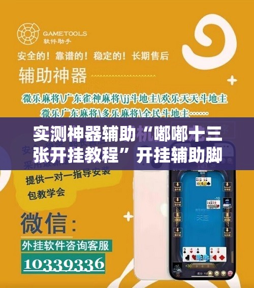 实测神器辅助“嘟嘟十三张开挂教程”开挂辅助脚本+详细开挂安装教程