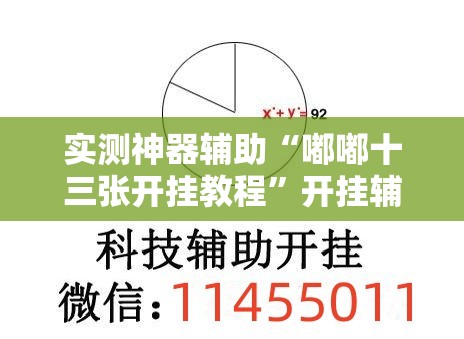 实测神器辅助“嘟嘟十三张开挂教程	”开挂辅助脚本+详细开挂安装教程