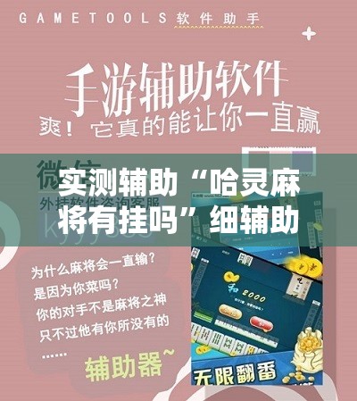 实测辅助“哈灵麻将有挂吗”细辅助教程分享