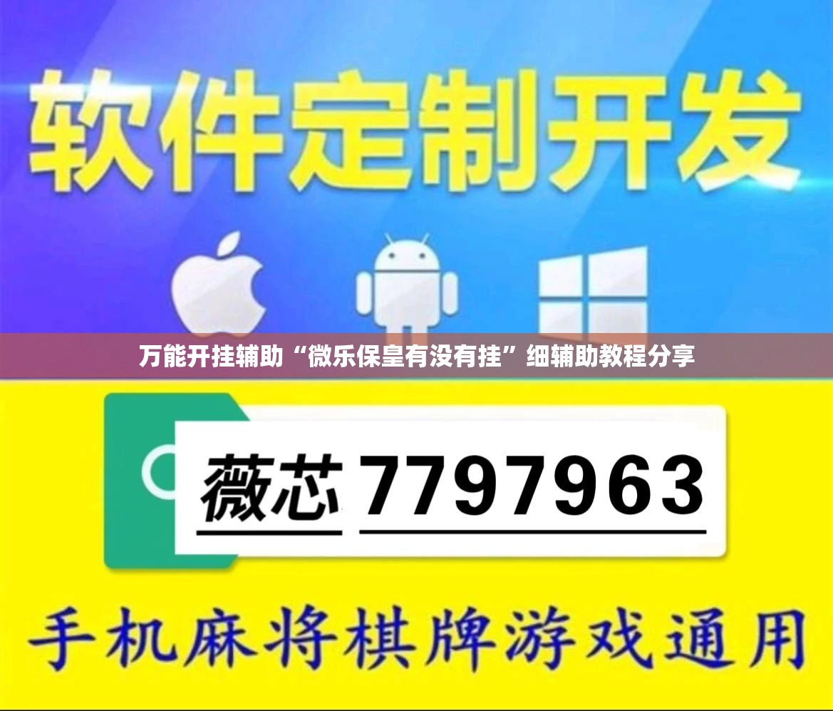 万能开挂辅助“微乐保皇有没有挂”细辅助教程分享