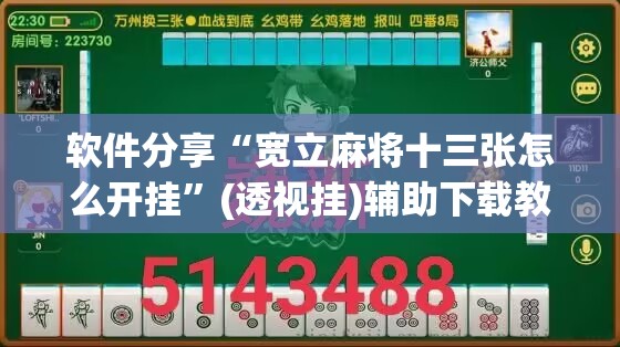 软件分享“宽立麻将十三张怎么开挂”(透视挂)辅助下载教程