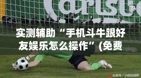 实测辅助“手机斗牛跟好友娱乐怎么操作	”(免费)开挂辅助教学(最新辅助开挂教程)