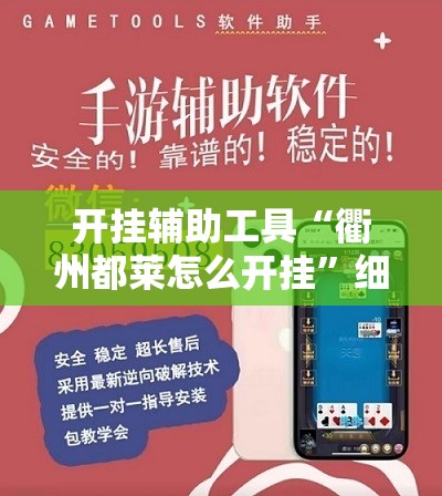 开挂辅助工具“衢州都莱怎么开挂”细辅助教程分享