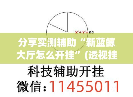 分享实测辅助“新蓝鲸大厅怎么开挂”(透视挂)辅助下载教程