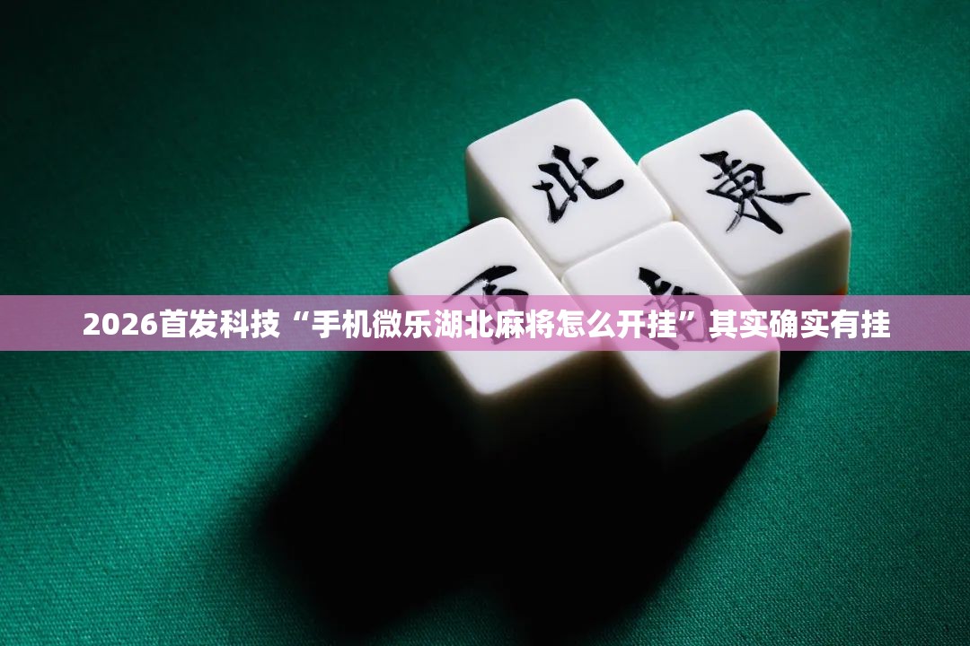 2026首发科技“手机微乐湖北麻将怎么开挂	”其实确实有挂