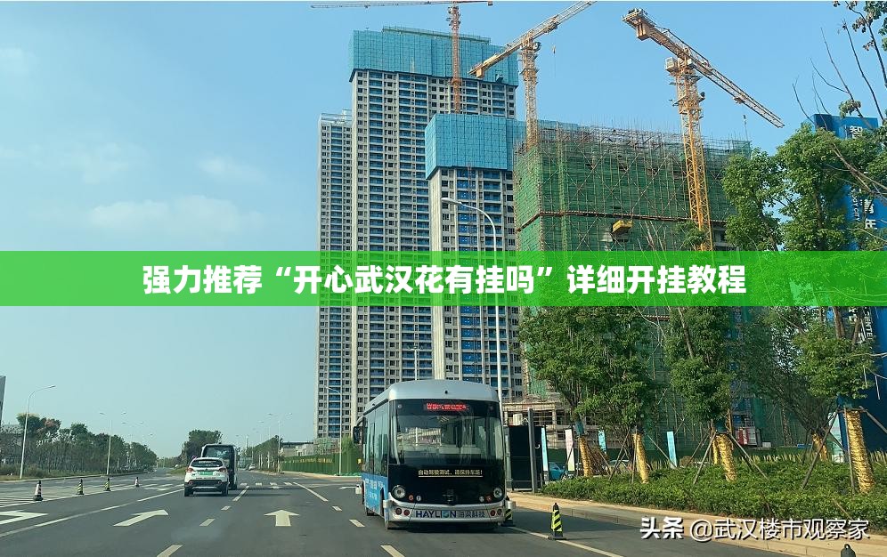 强力推荐“开心武汉花有挂吗”详细开挂教程