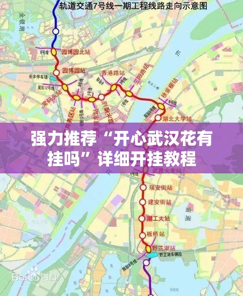 强力推荐“开心武汉花有挂吗	”详细开挂教程