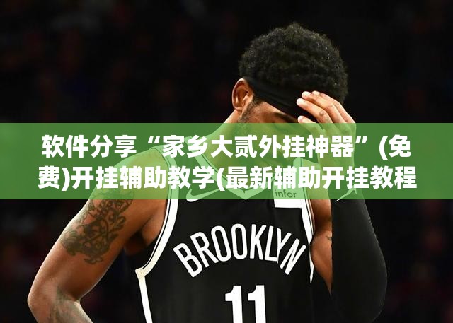 软件分享“家乡大贰外挂神器”(免费)开挂辅助教学(最新辅助开挂教程)