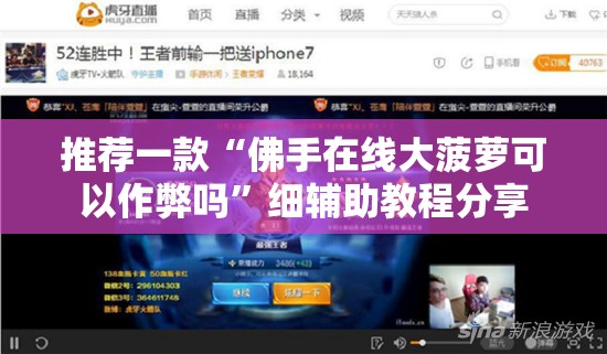 推荐一款“佛手在线大菠萝可以作弊吗”细辅助教程分享