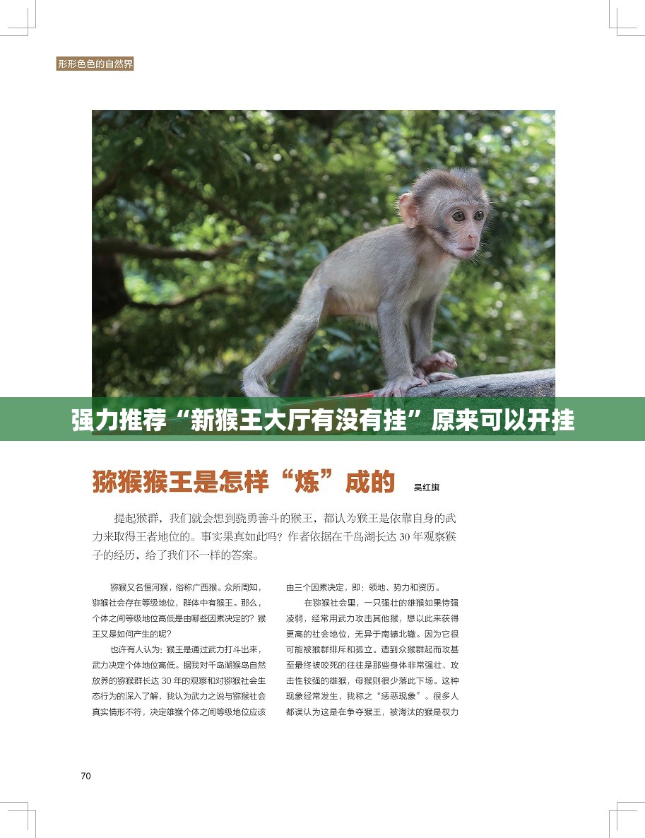强力推荐“新猴王大厅有没有挂	”原来可以开挂