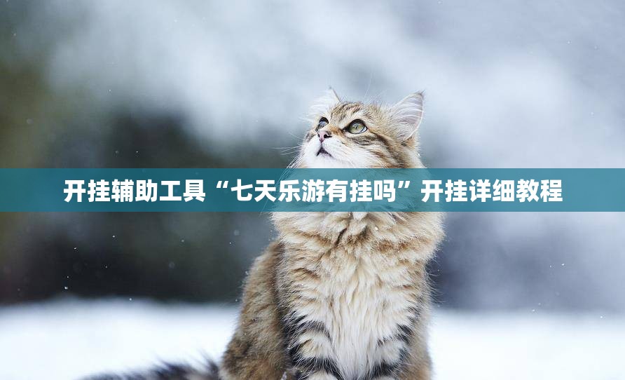 开挂辅助工具“七天乐游有挂吗	”开挂详细教程
