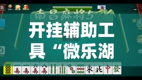 开挂辅助工具“微乐湖南麻将到底有没有挂”详细开挂教程
