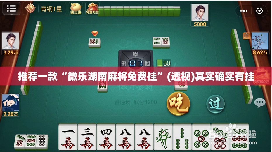 推荐一款“微乐湖南麻将免费挂”(透视)其实确实有挂
