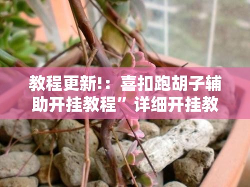 教程更新!：喜扣跑胡子辅助开挂教程”详细开挂教程