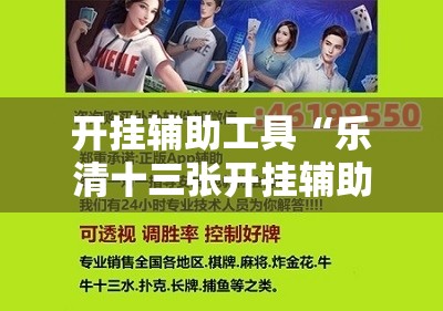 开挂辅助工具“乐清十三张开挂辅助器通用版”细辅助教程分享