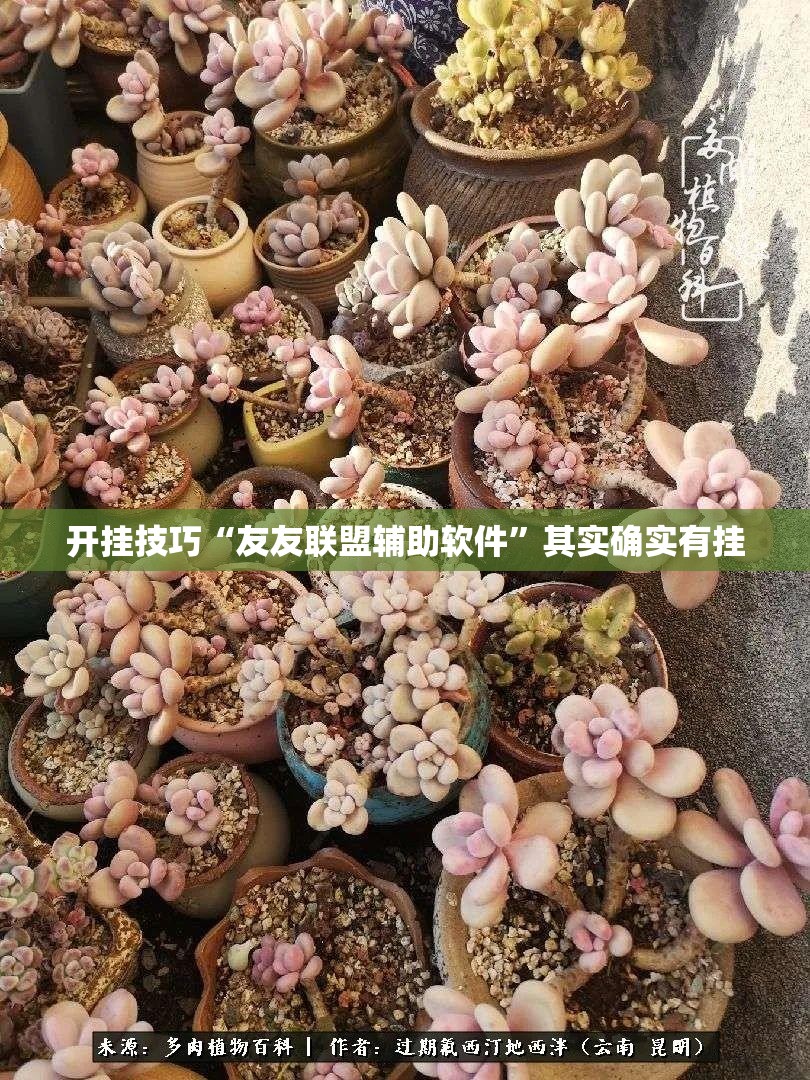 开挂技巧“友友联盟辅助软件”其实确实有挂