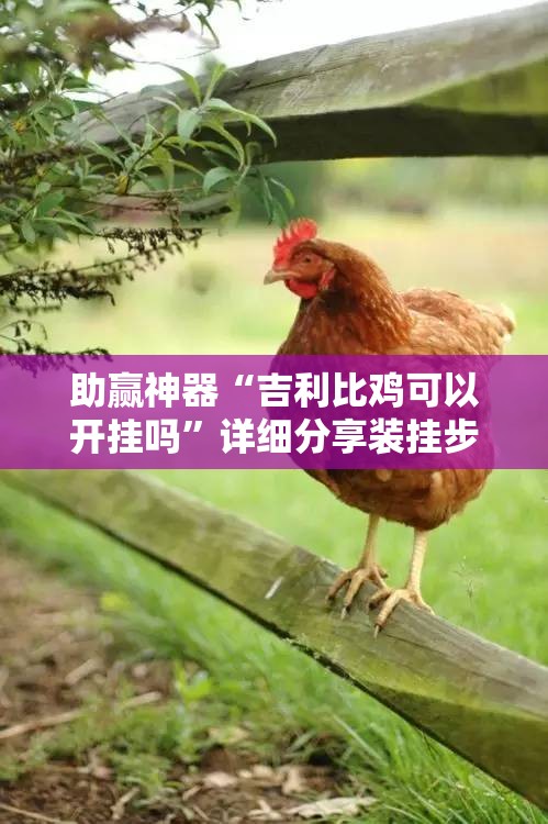 助赢神器“吉利比鸡可以开挂吗”详细分享装挂步骤