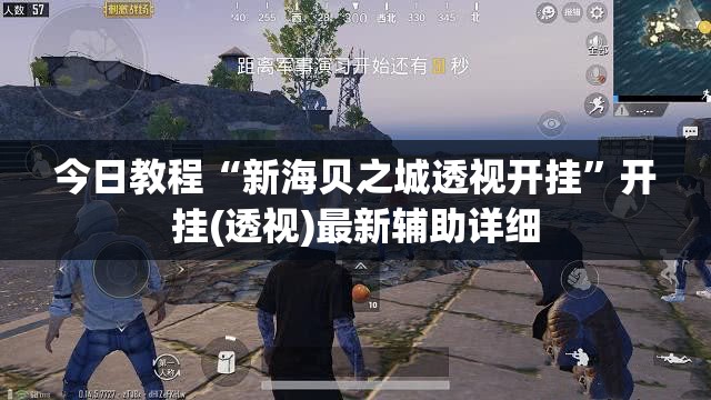 今日教程“新海贝之城透视开挂”开挂(透视)最新辅助详细