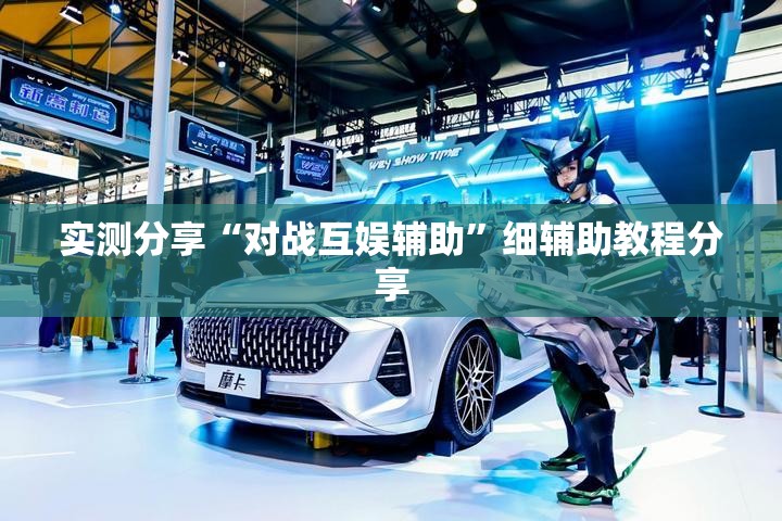 实测分享“对战互娱辅助”细辅助教程分享