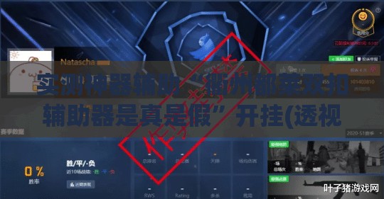 实测神器辅助“衢州都莱双扣辅助器是真是假”开挂(透视)辅助教程