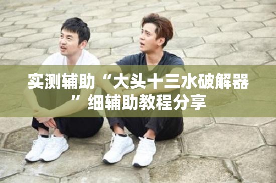 实测辅助“大头十三水破解器	”细辅助教程分享