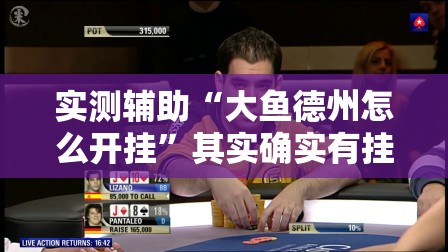 实测辅助“大鱼德州怎么开挂”其实确实有挂
