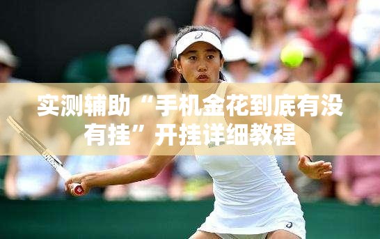 实测辅助“手机金花到底有没有挂”开挂详细教程