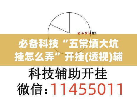必备科技“五常填大坑挂怎么弄”开挂(透视)辅助教程