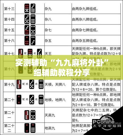 实测辅助“九九麻将外卦”细辅助教程分享