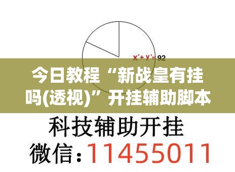今日教程“新战皇有挂吗(透视)”开挂辅助脚本+详细开挂安装教程