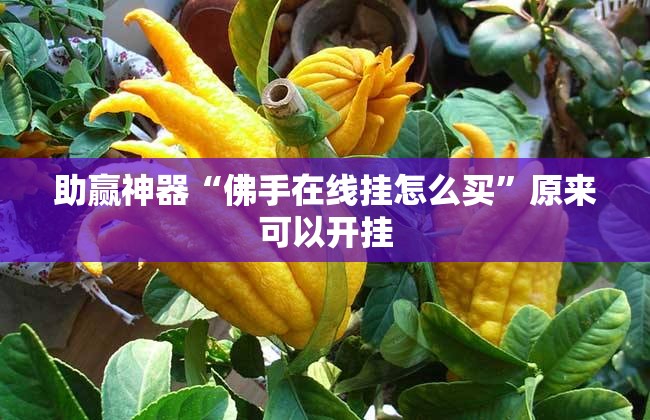 助赢神器“佛手在线挂怎么买”原来可以开挂