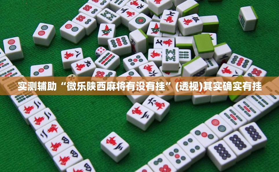 实测辅助“微乐陕西麻将有没有挂”(透视)其实确实有挂