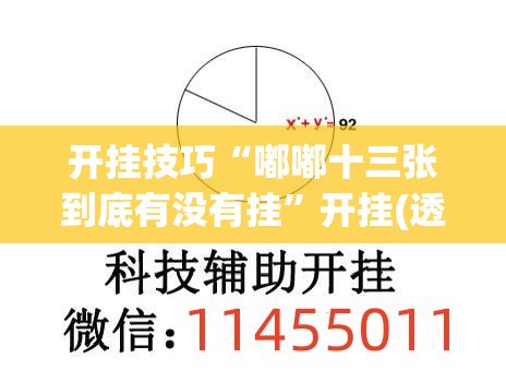 开挂技巧“嘟嘟十三张到底有没有挂”开挂(透视)辅助教程