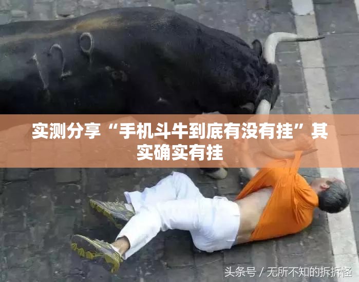 实测分享“手机斗牛到底有没有挂”其实确实有挂