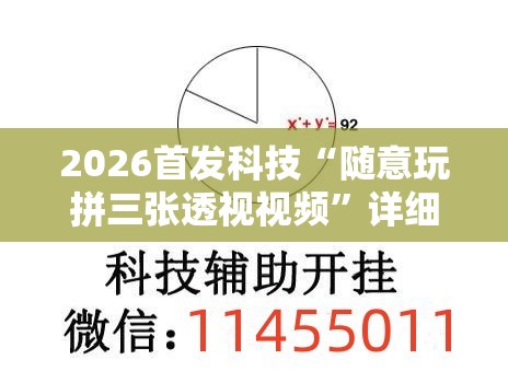 2026首发科技“随意玩拼三张透视视频”详细开挂教程