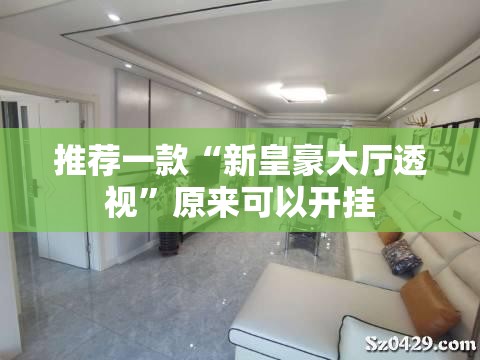 推荐一款“新皇豪大厅透视”原来可以开挂