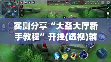 实测分享“大圣大厅新手教程”开挂(透视)辅助神器