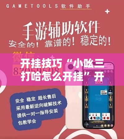 开挂技巧“小吆三打哈怎么开挂”开挂辅助脚本+详细开挂安装教程