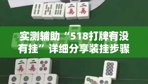 实测辅助“518打牌有没有挂”详细分享装挂步骤