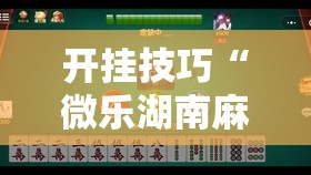 开挂技巧“微乐湖南麻将有挂吗多少钱	”详细开挂教程