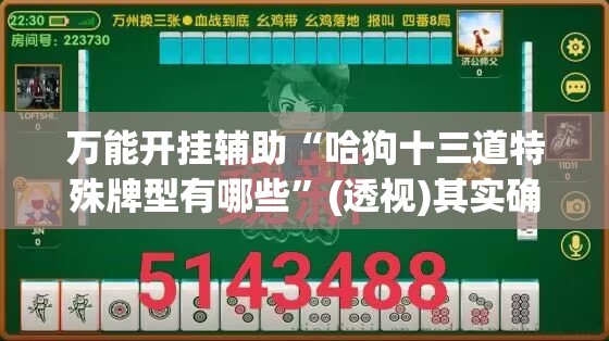 万能开挂辅助“哈狗十三道特殊牌型有哪些	”(透视)其实确实有挂