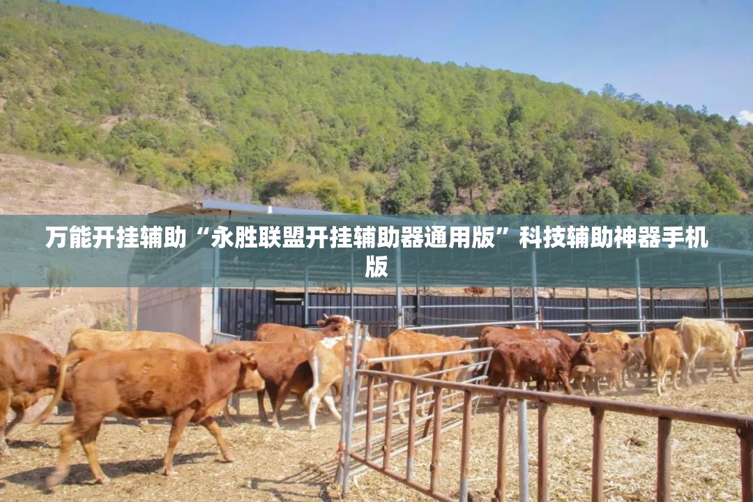 万能开挂辅助“永胜联盟开挂辅助器通用版”科技辅助神器手机版